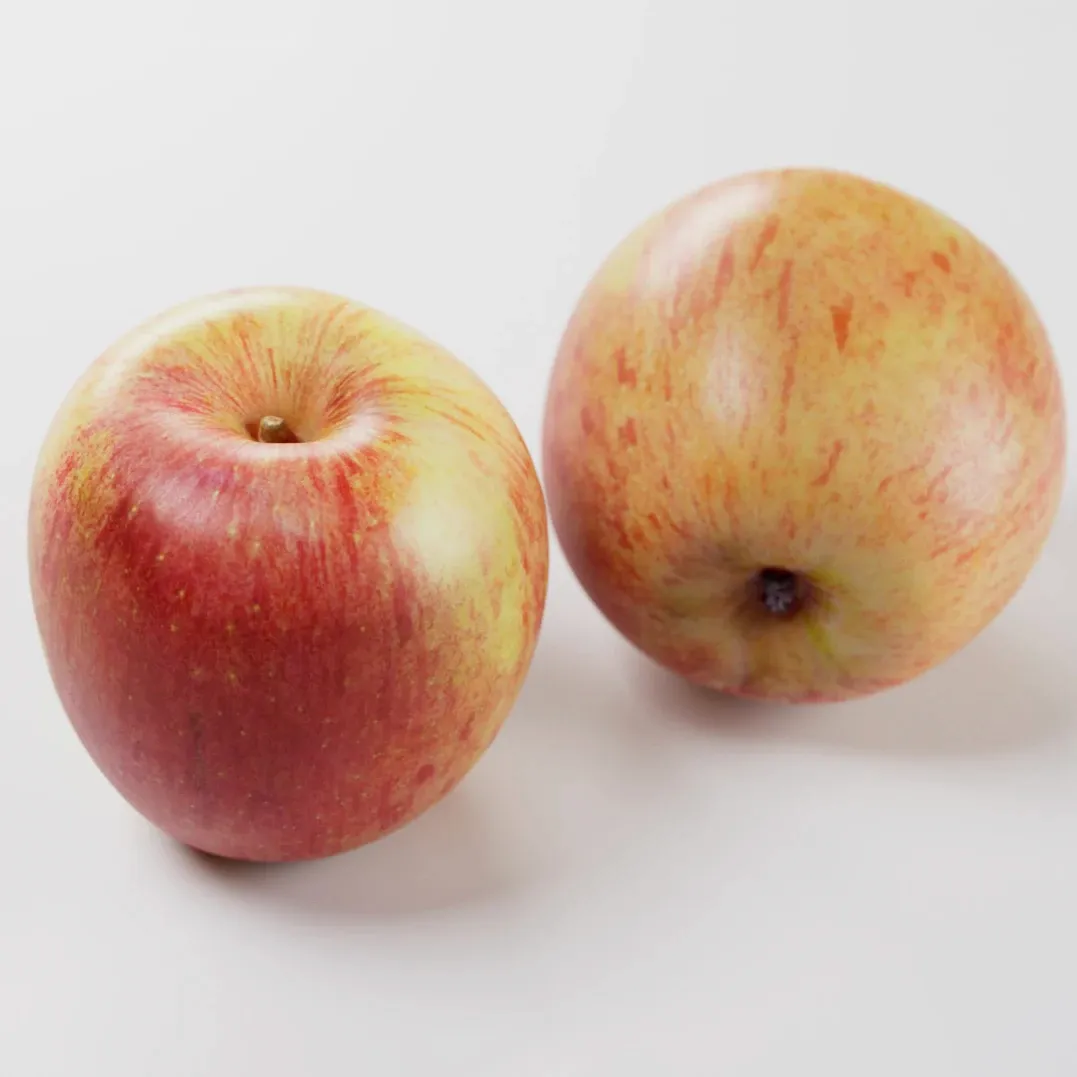 mcintosh apple on white background