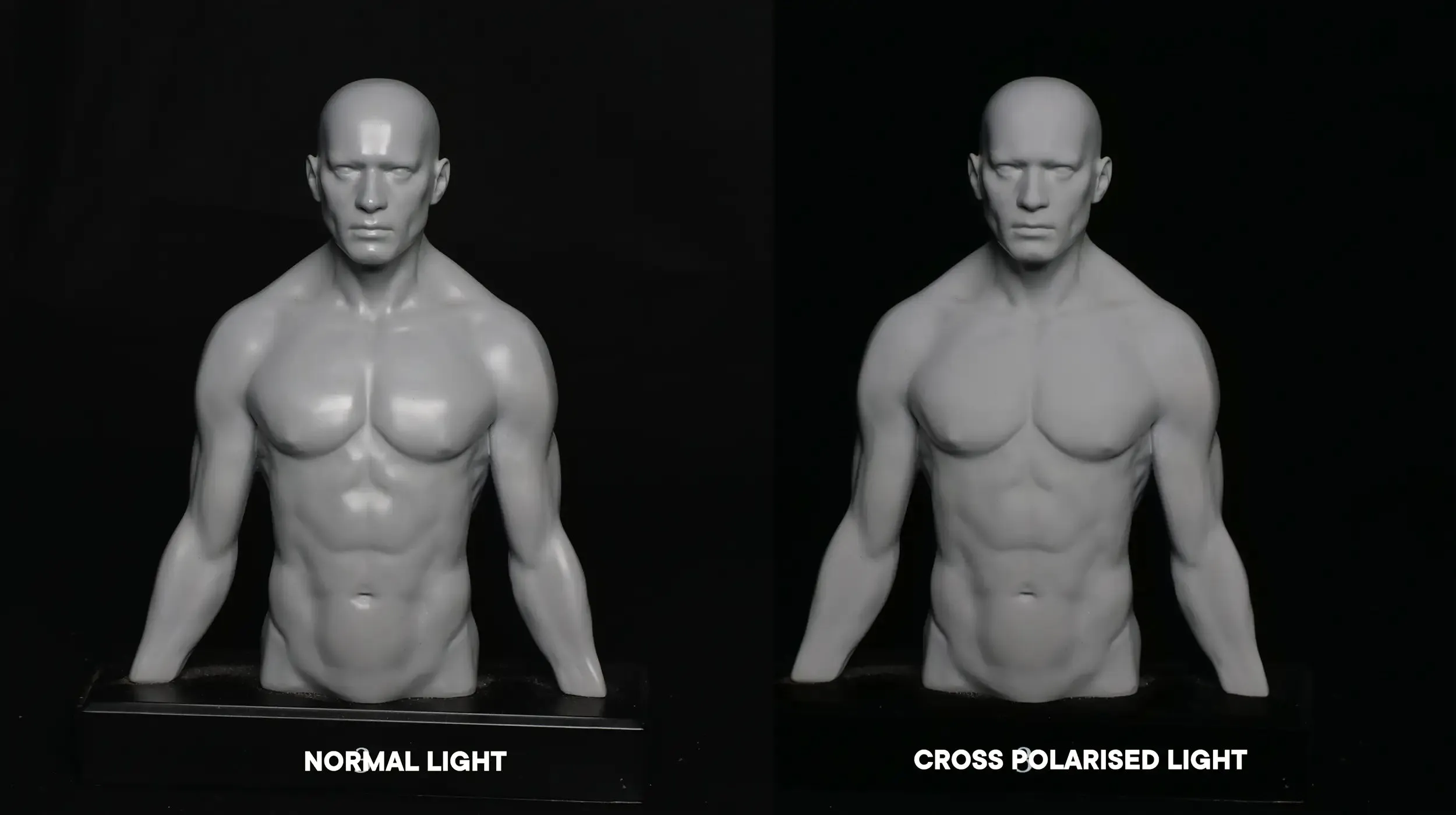 Statue captured as a photogrammetry subject