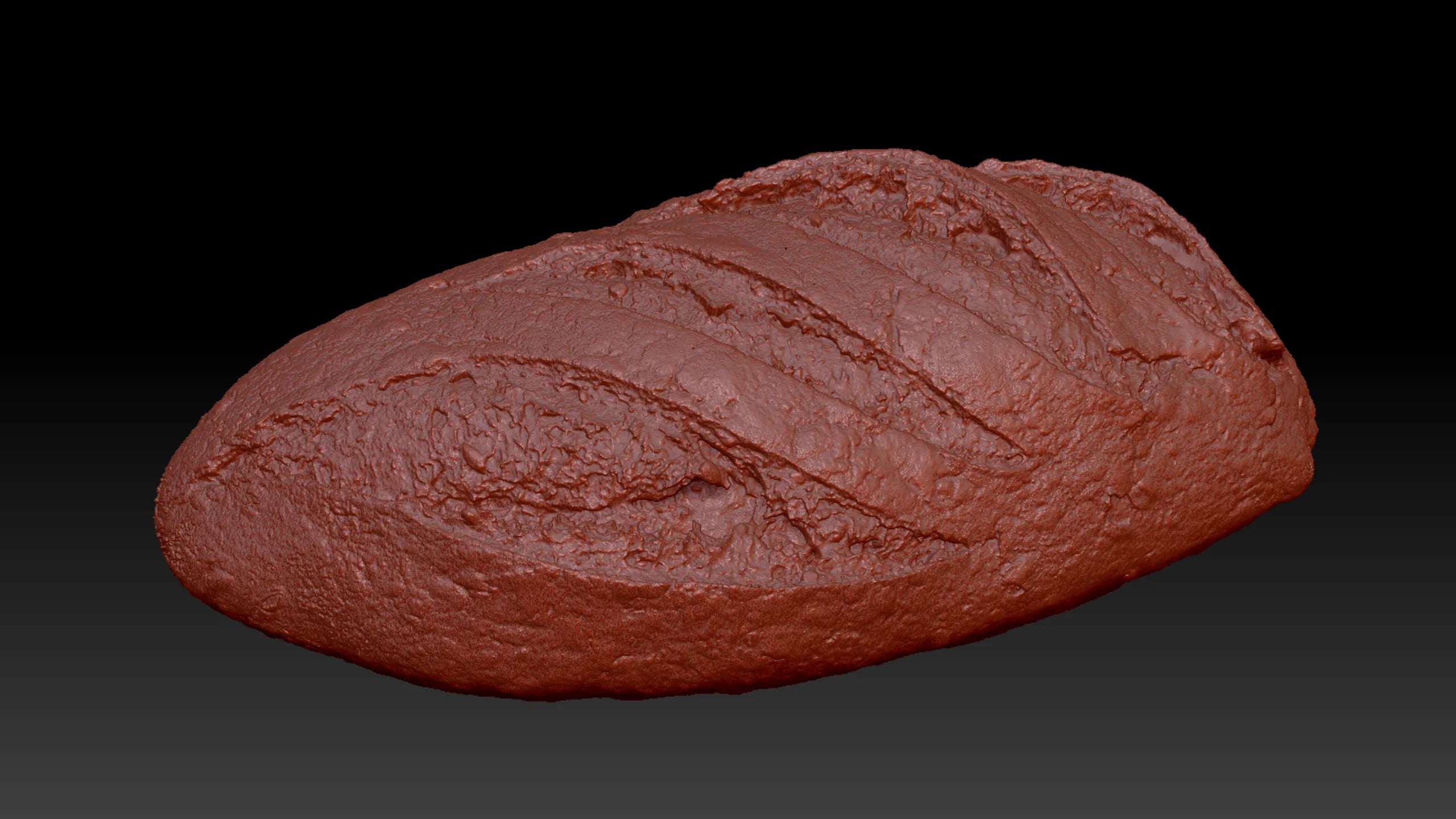 Zbrush Viewport view of a high res scan of a loaf of bread