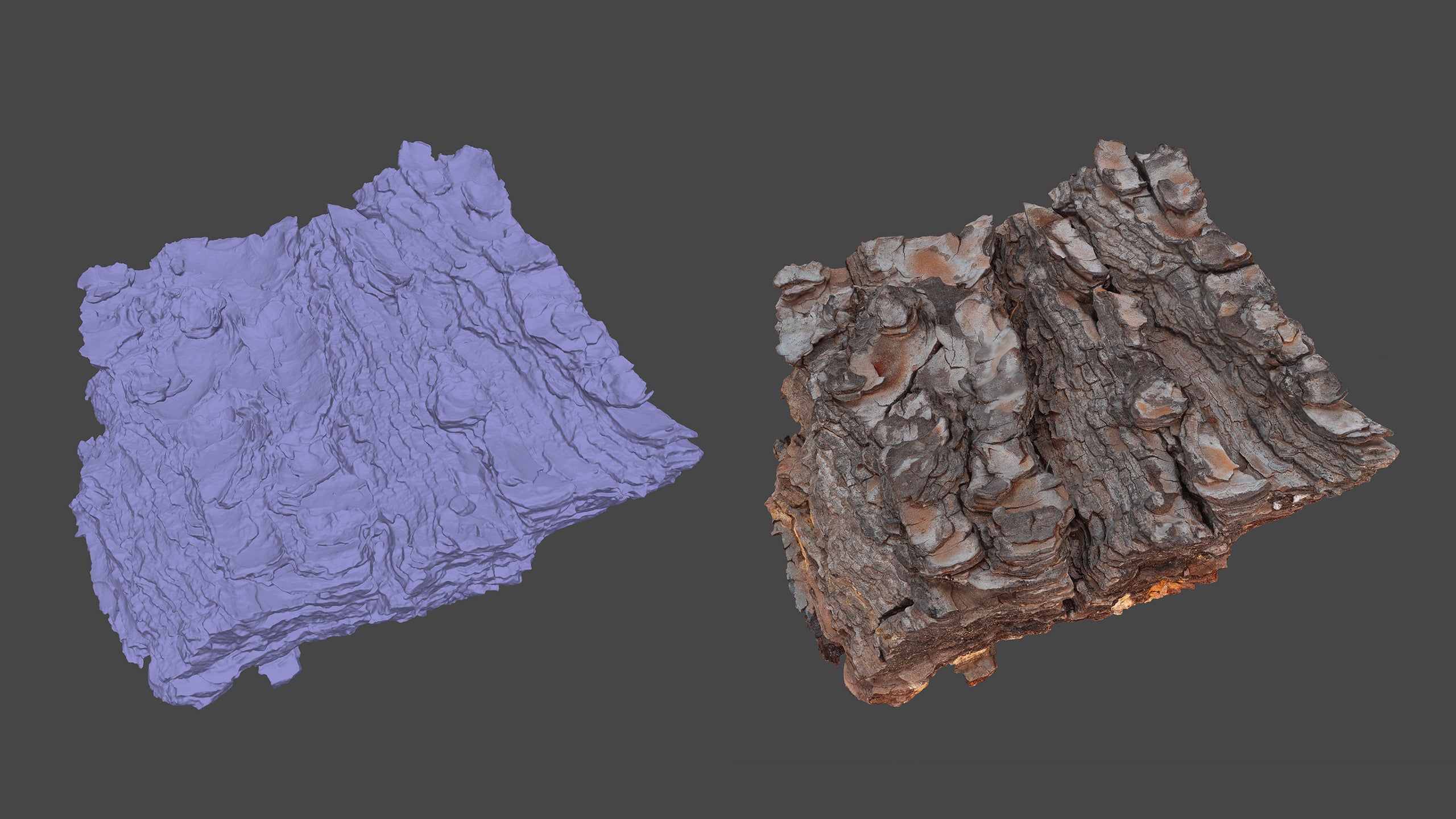 Piece of tree bark in clay render and in full texture. The background is gray.