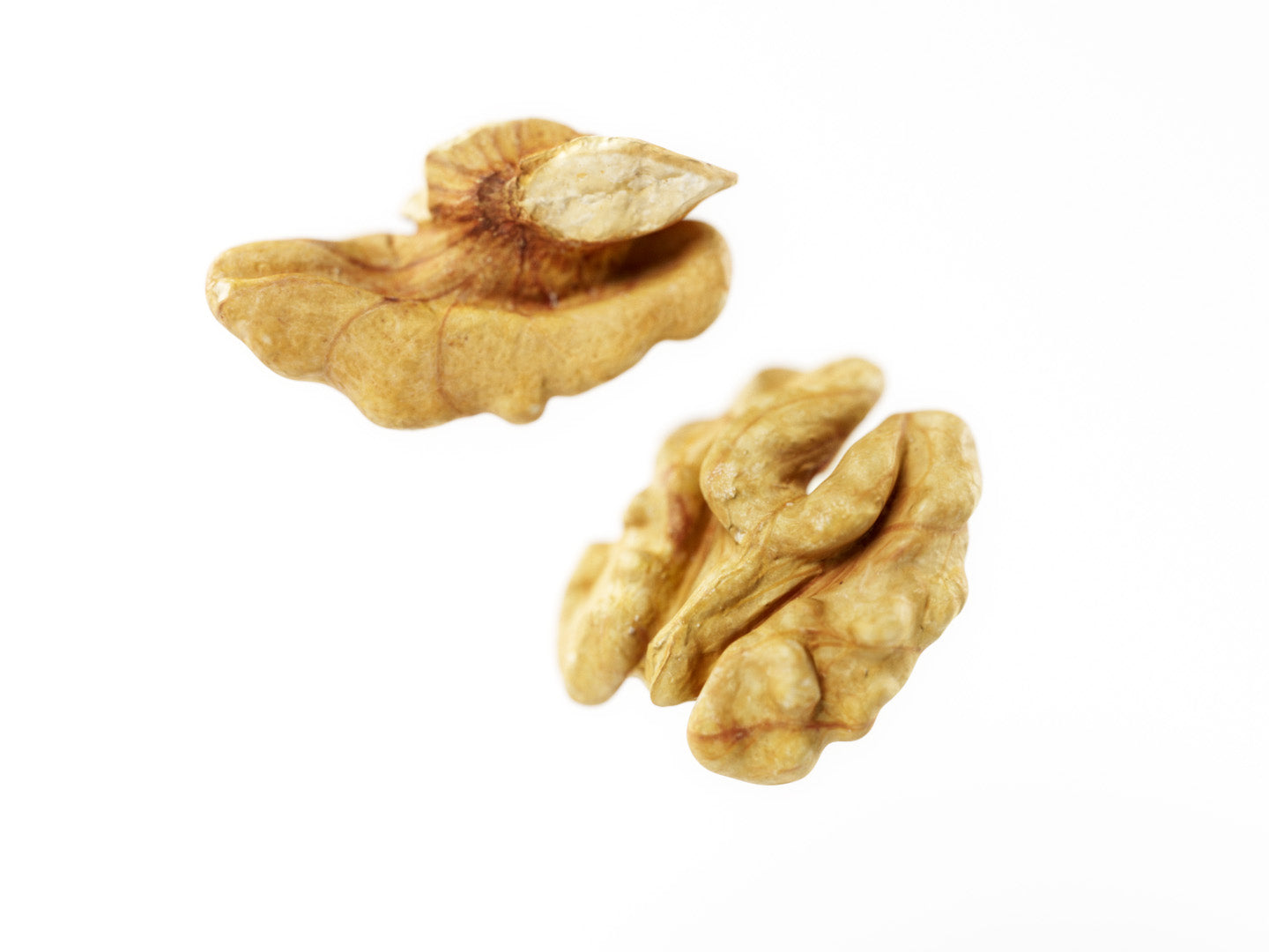 Two walnuts on a white background